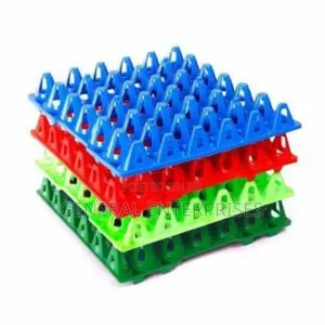 Durable Plastic Egg Trays