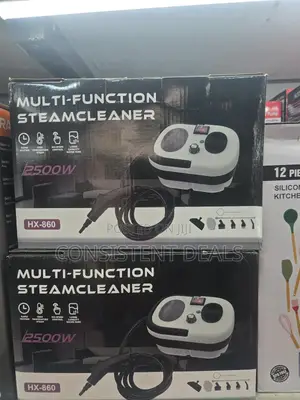 Multifunctional  Steam Cleaner