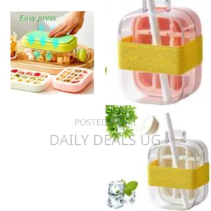 2-in-1 Silicone Ice Cube Maker and Water Bottle