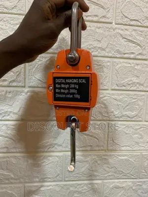 300kg Digital Weighing Strong Durable Mini Crane Weighing Scales.