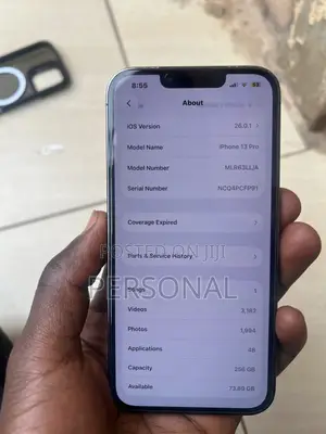 Apple iPhone 13 256 GB Gray