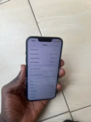 Apple iPhone 13 256 GB Gray