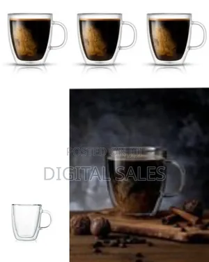 6 Piece Double Wall Glass Coffee Mugs Set With Handle