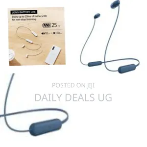 Sony Wi-C100 Wireless in-Ear Headphones