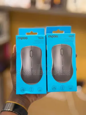Rapoo 1620 Wireless 2.4ghz Optical Mouse for Laptop