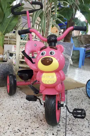 Tricycle With Steering Handle