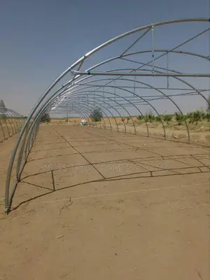 Tunnel Greenhouse Construction