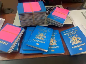 Passport Processing