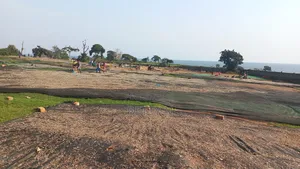 Land for Sale at Kasenyi