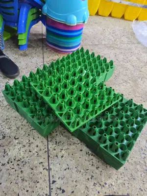 60pcs Egg Trays Holder 60pcs Egg Trays Holder