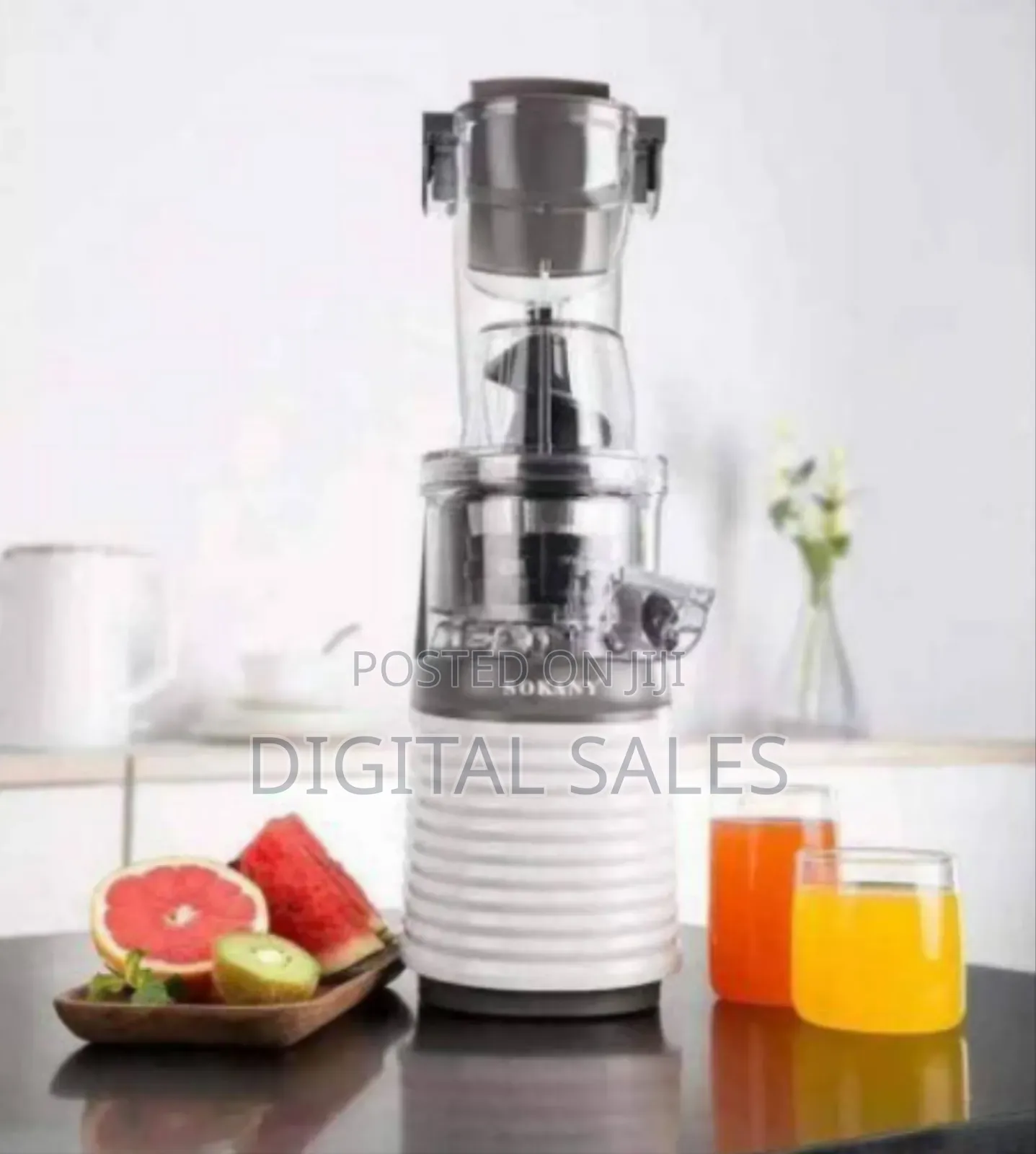 Sokany Masticating Cold Press Juicer
