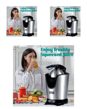 Winning Star Electric Citru Juicer With Stainless Steel Finish, 300ml