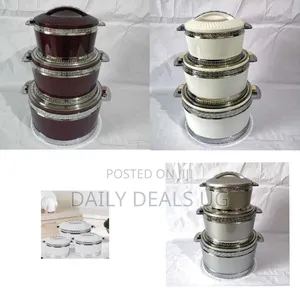 Elegant Insulated Food Warmer / Hot Pot Set - Multicolor