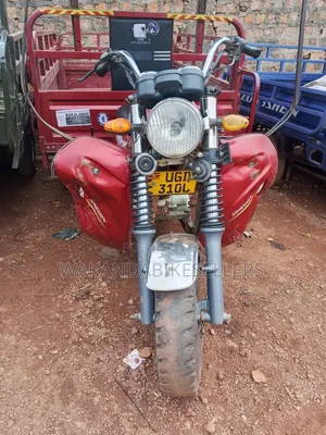 Tricycle 2024 Red