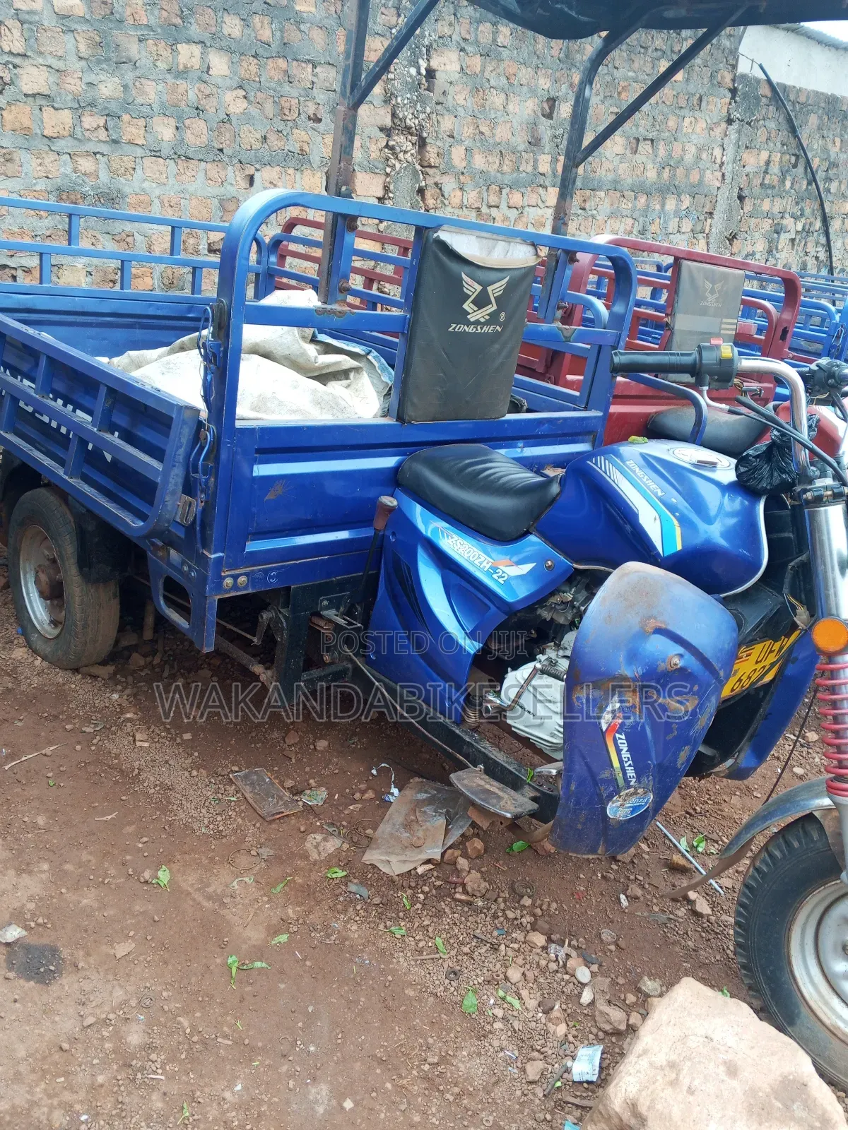 Tricycle 2023 Blue