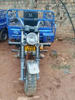 Tricycle 2024 Blue