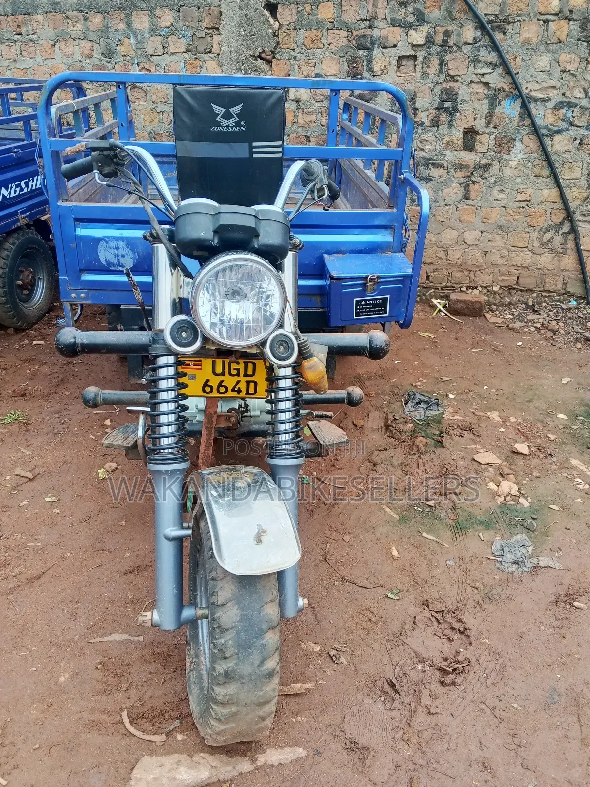 Tricycle 2024 Blue