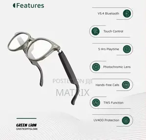Green Lion Stockholm Smart Glasses