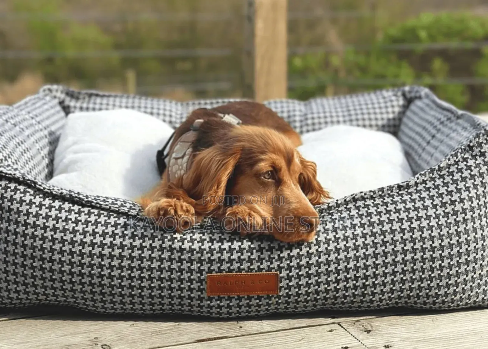 Pet Bed Cushion Cats and Dogs