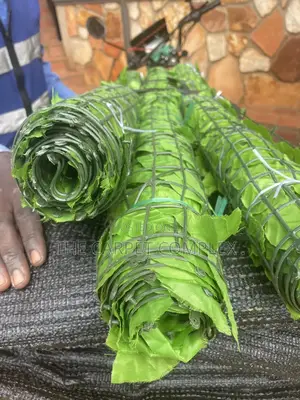 Wall Balcony Plants Each Piece 3meters By 1