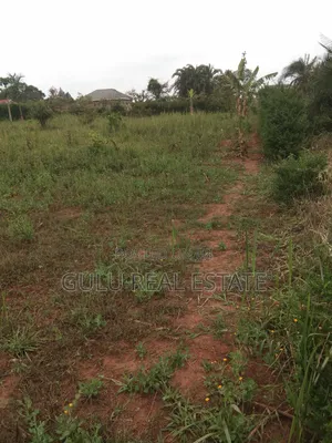 Titled Plots of Land in Gulu City