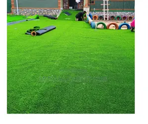 Durable Artificial Grass for School Classrooms Halls