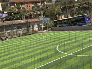 Safe Playground Grass Carpet for Schools