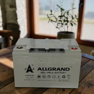 Allgrand 55ah 12v Maintenance-Free Gel Battery