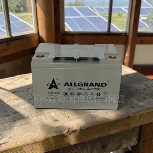 Allgrand 12v 55ah Pure Gel Inverter Battery