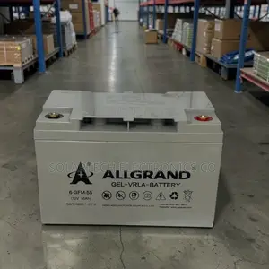 55ah 12v Allgrand Long Life Pure Gel Solar Battery