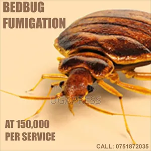 Bedbug Fumigation Services