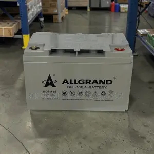 Allgrand 55ah 12v Sealed Maintenance-Free Gel Battery