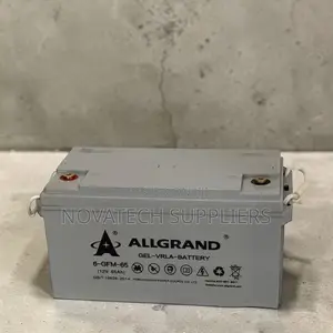 Allgrand 12v 65ah Pure Gel Inverter Battery