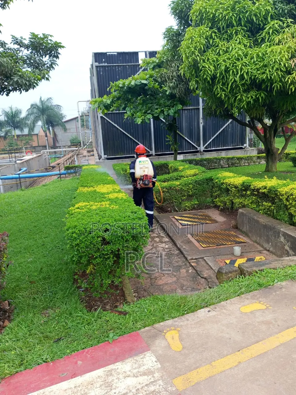 Fumigation Service / Pest Control