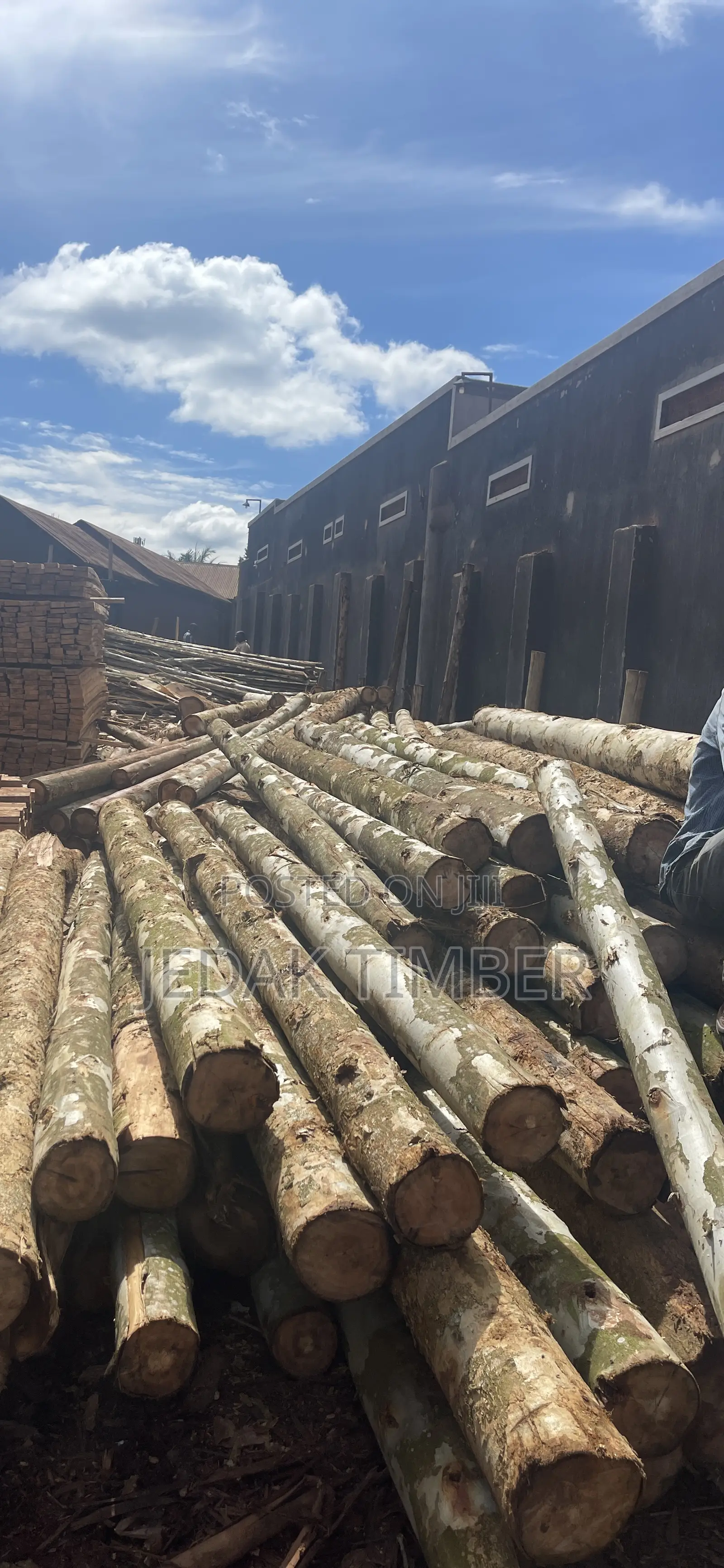 Timber at Lowprice