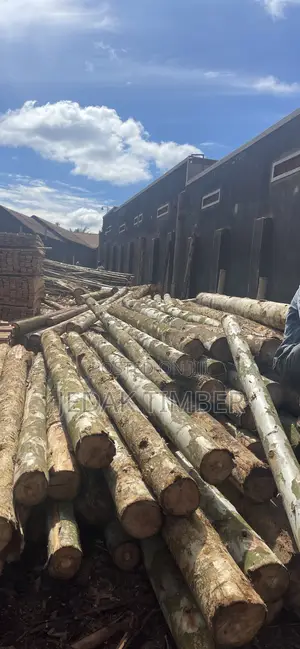 Timber at Lowprice