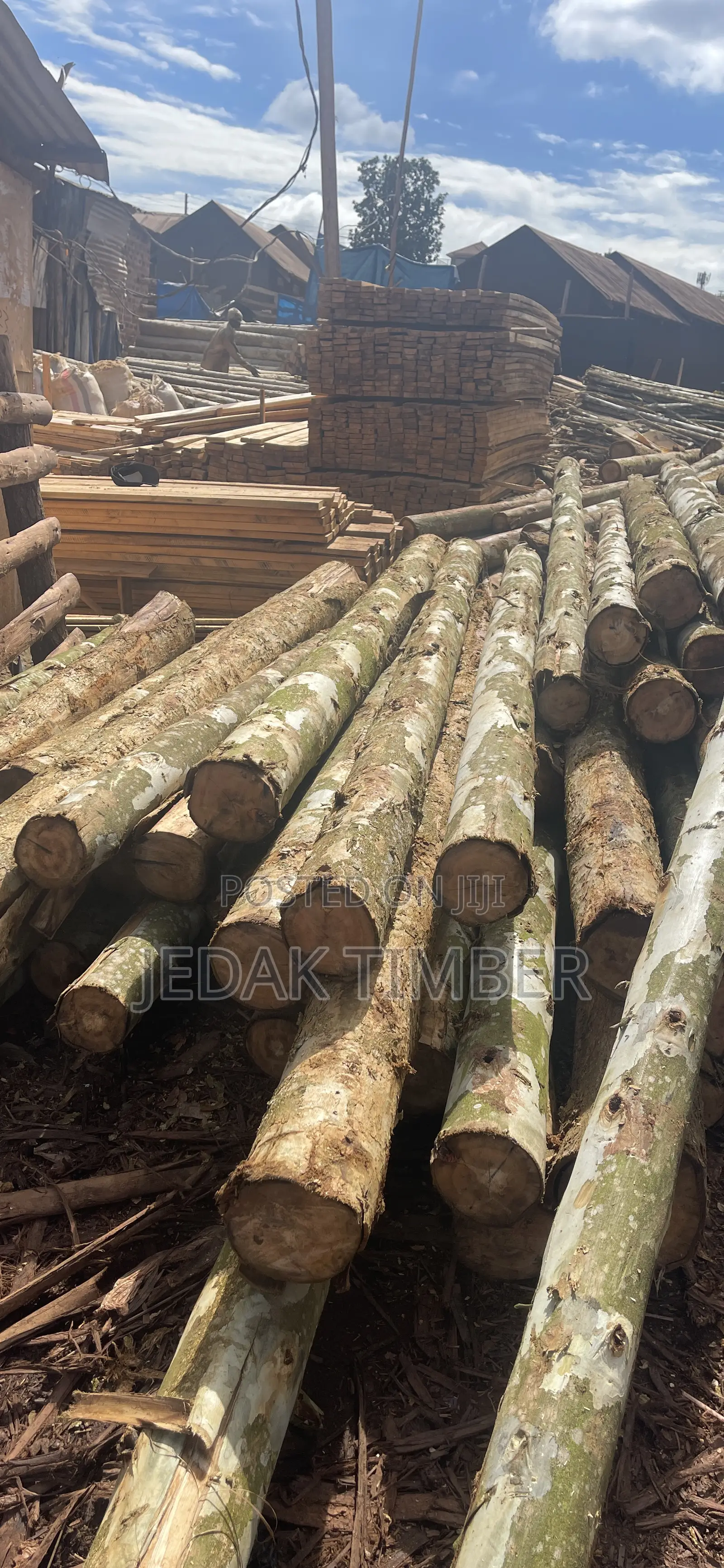 Timber at Lowprice