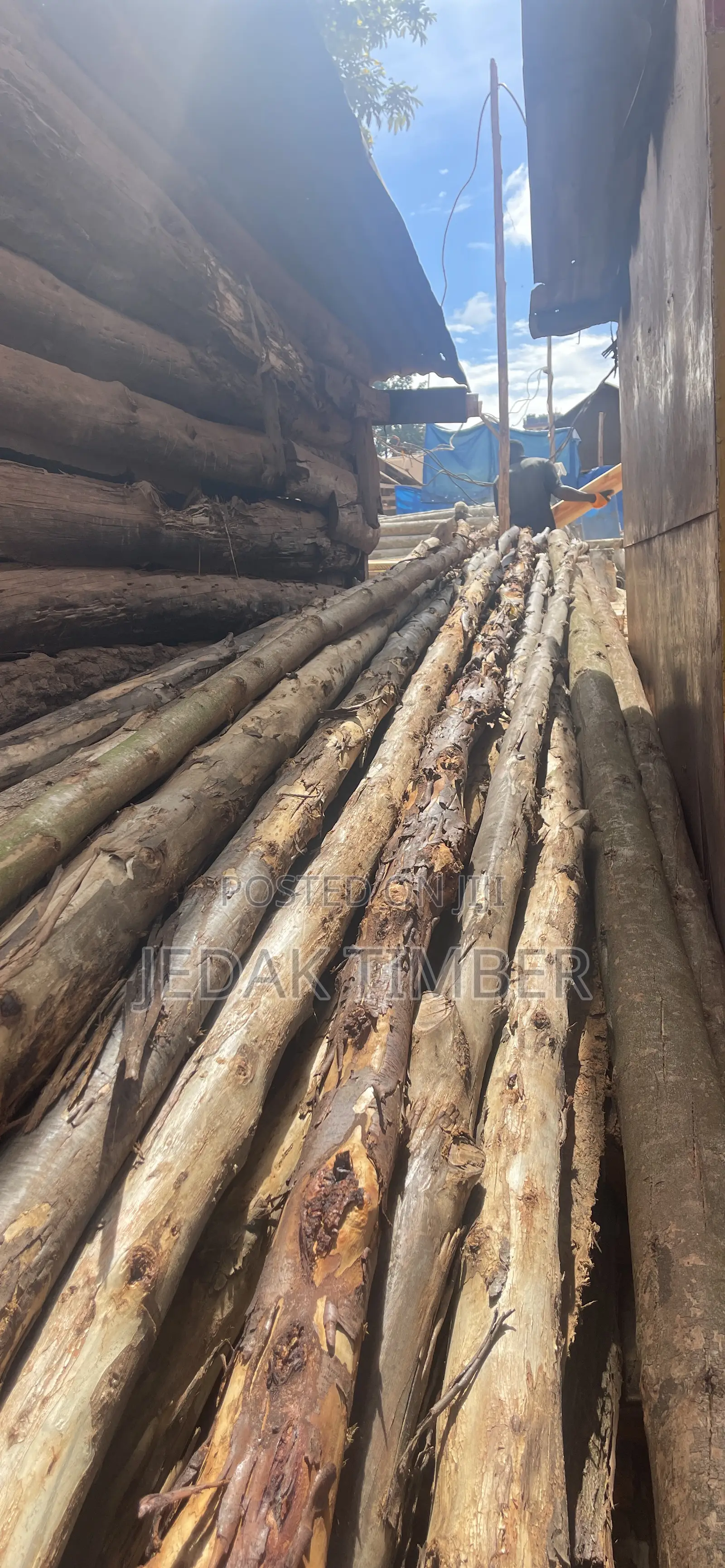 Timber at Lowprice