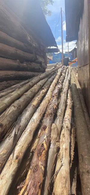 Timber at Lowprice