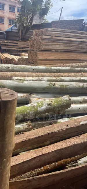 Timber at Lowprice