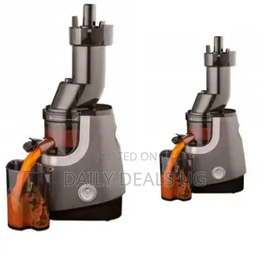 Professional Slow Masticating Juicer for Fruits and Vegetables