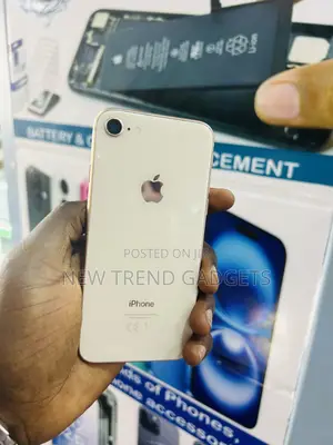 Apple iPhone 8 256 GB Pink