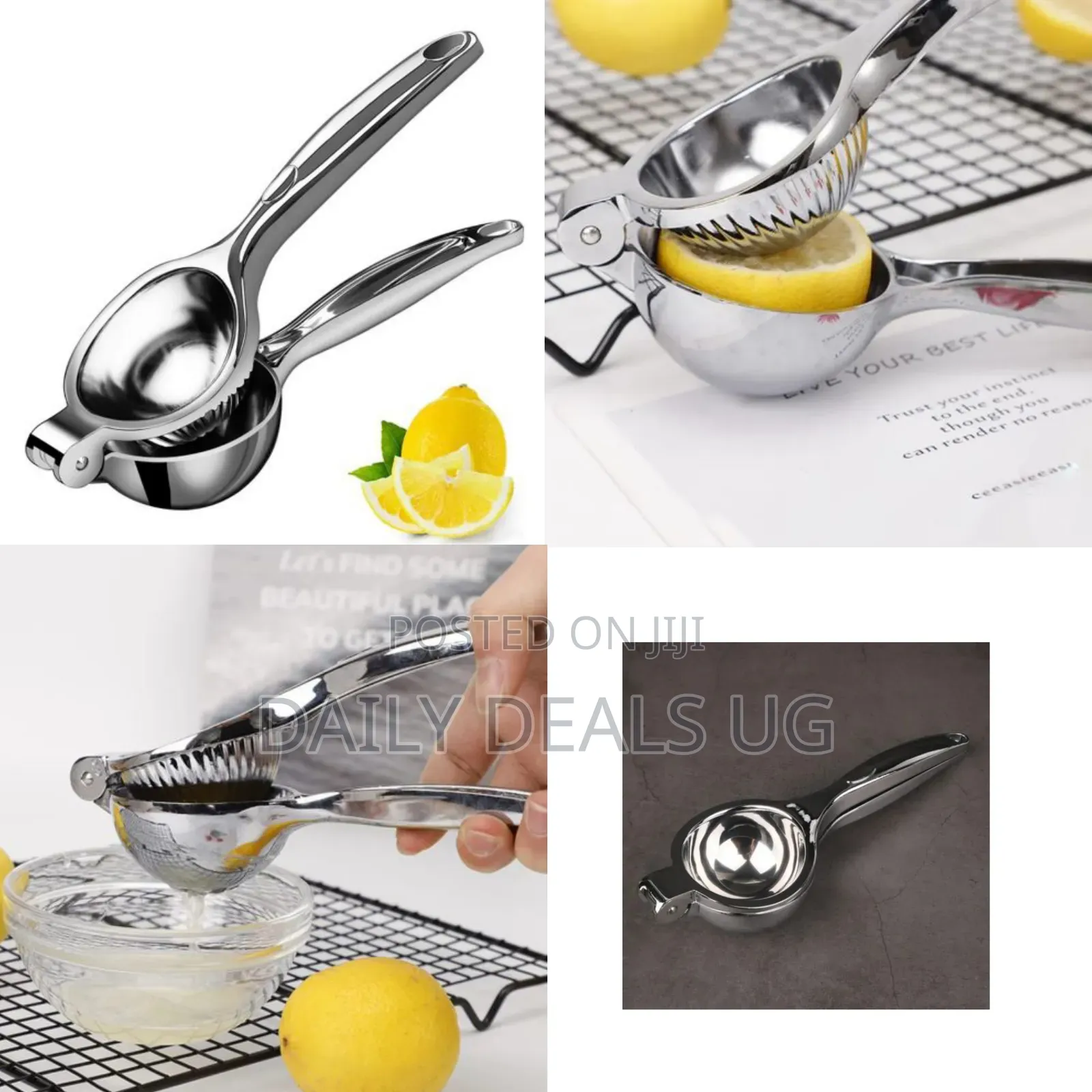 Premium Stainless Steel Manual Citrus Juicer-Maximize Your Juice Yield