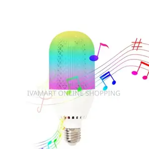 2 in 1 Bluetooth Music Led Light Bulb - Remote Control, RGB Lights