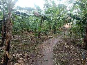 15 Acres of Land in Lugo Buwambo