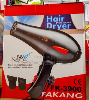 Fakang Professional Hair Dryer
