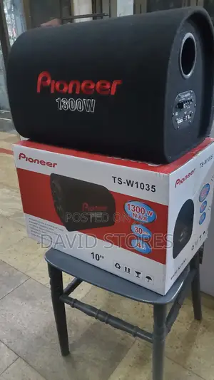Pioneer Ts-W1035 10" Car Subwoofer – Deep, Powerful 1300w Bass