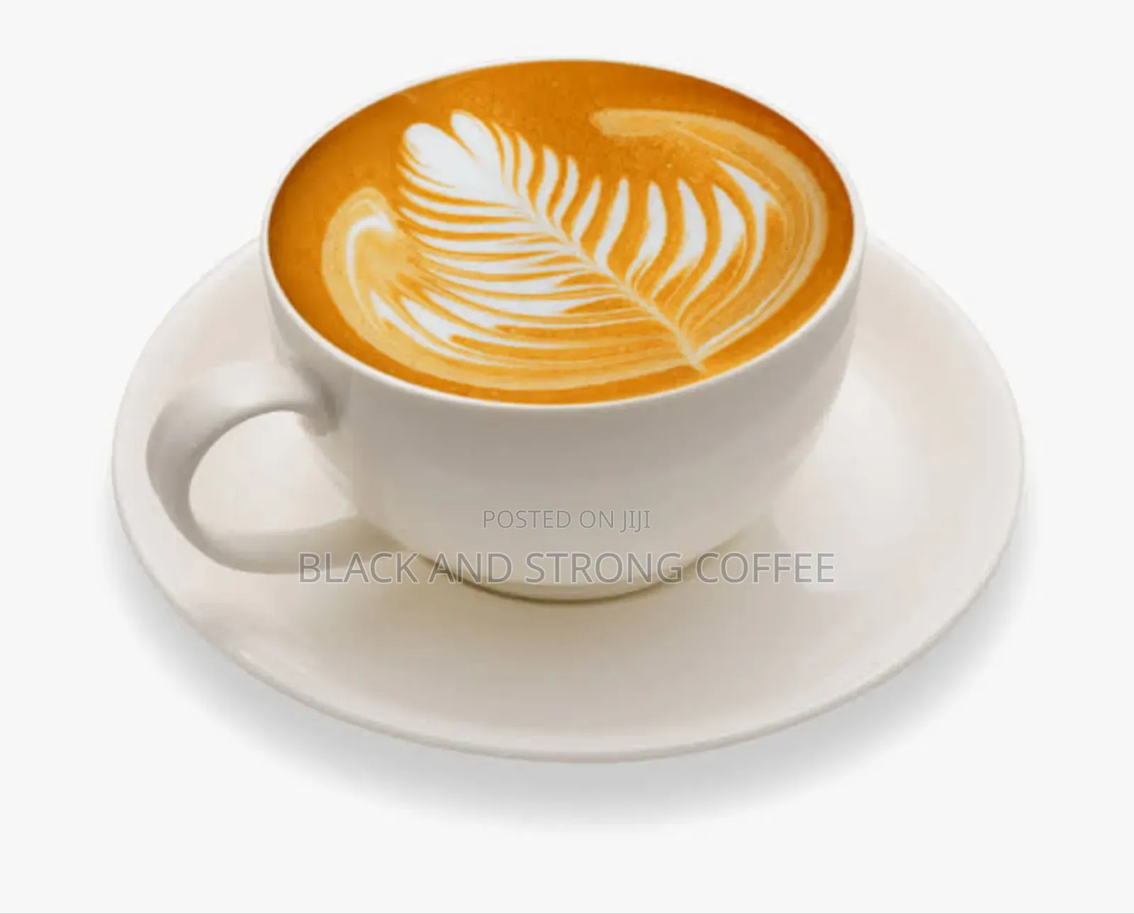 Professional Barista Training