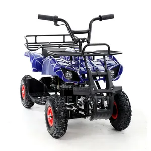 24v Children's Atv Quid Bike