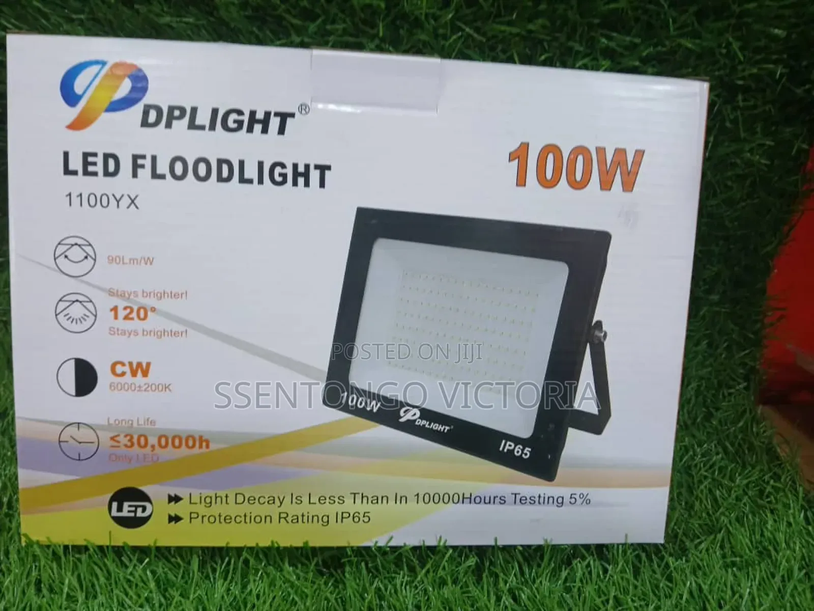 100w Floodlight